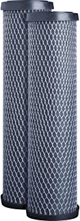 GE FXWTC Whole Home System Replacement Filter Set, Pack of 2