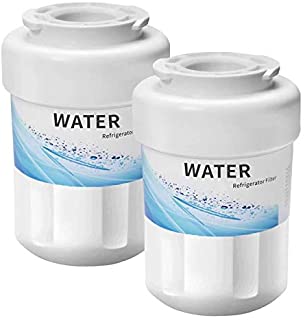 CLANORY MWF Refrigerator Water Filter, MWF Water Filter for GE Refrigerator (2 Pack)