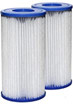 SUNSET FILTERS - Type A or C Pool Filter Replacement Cartridge (2-Pack)